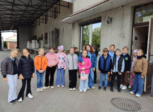 Młyn w Brzezinach