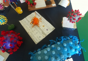 Wystawa prac technicznych wykonanych przez uczniów - "Wirusy i Bakterie".