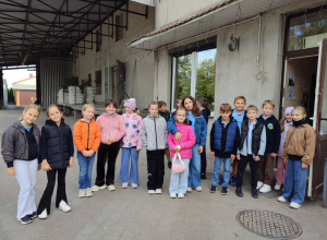 Młyn w Brzezinach